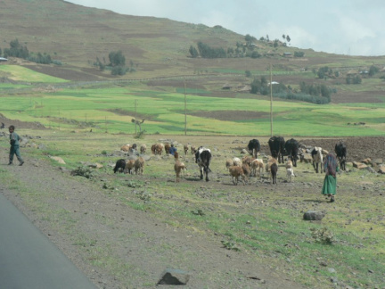 ethiopia18