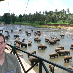 2006-09-20 Sri Lankan Elephant Hunt
