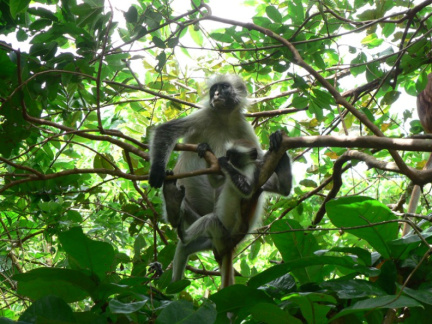 tanzania05