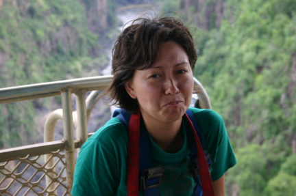 vicfalls2
