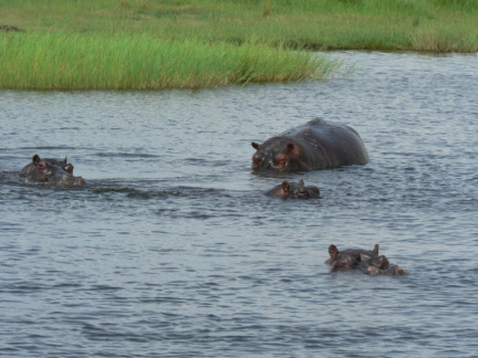 botswana02