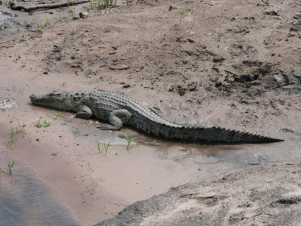 botswana03