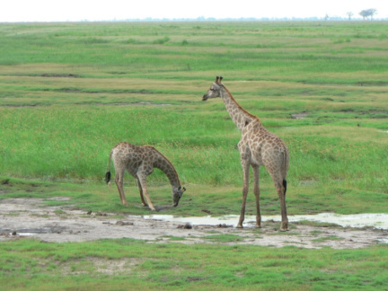 botswana09