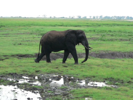 botswana10