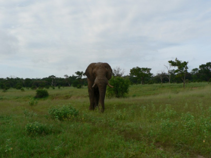botswana11