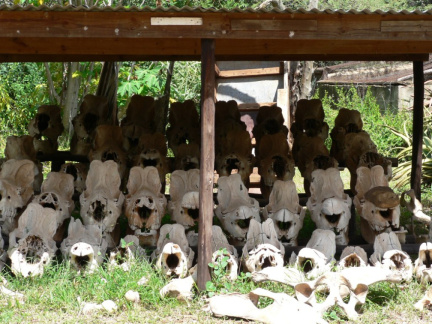 swaziland11