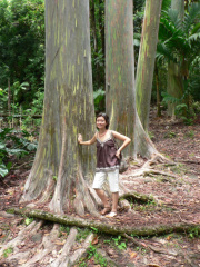 hawaii04