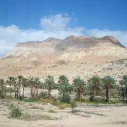 Day 4 - Masada and Dead Sea