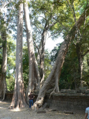cambodia06 small