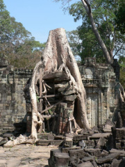 cambodia16 small