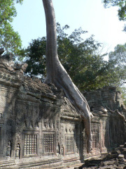 cambodia17 small