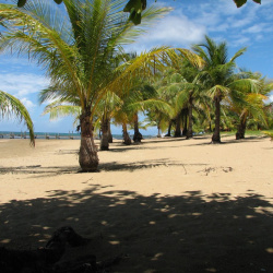 2008-04-01 Roatan Island, Honduras