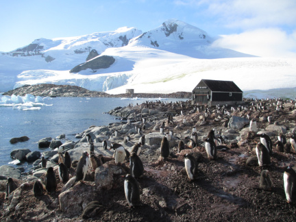 antarctica02