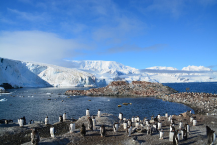 antarctica03