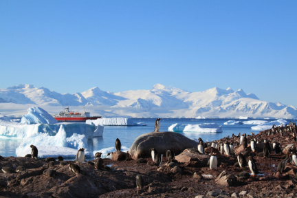 antarctica10