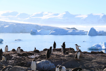 antarctica11