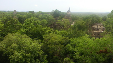 DSC03460