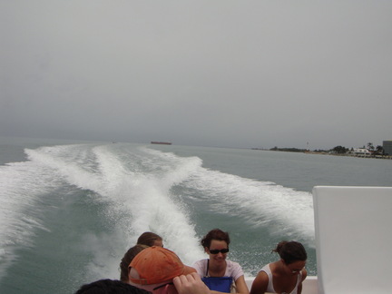 DSC03667