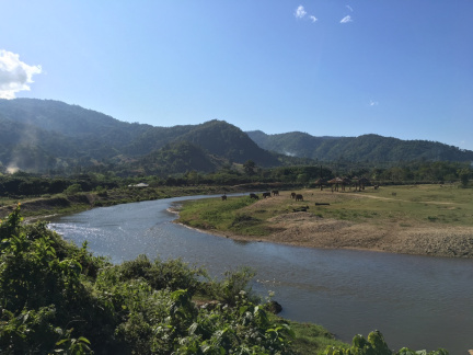 thailand11