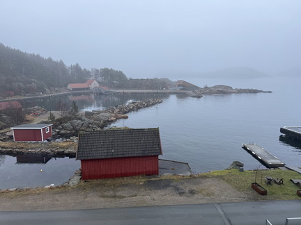 IMG 0349