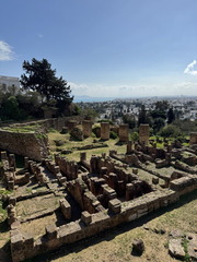 IMG 0409