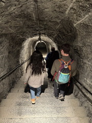 IMG 2719