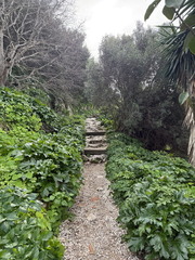 IMG 3451