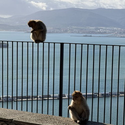 2026-01-24 Gibraltar