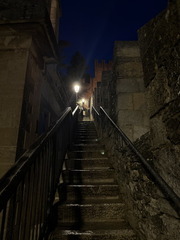IMG 3885