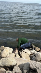 IMG 4818